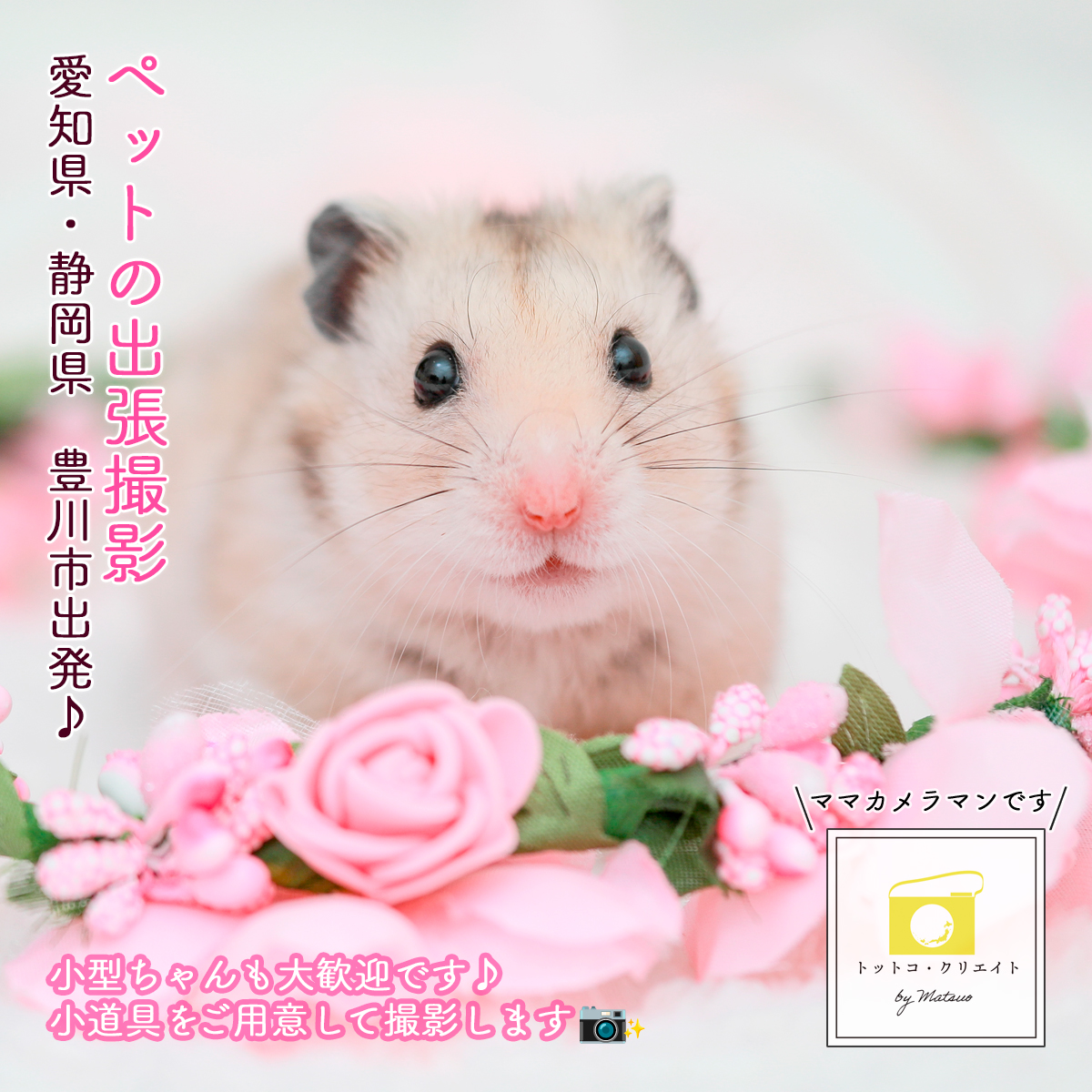 その他ペット